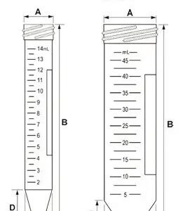 FRT-RD3 (SEF)