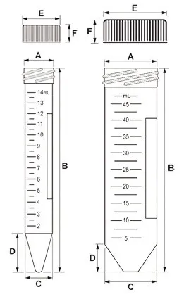 FRT-RD3 (SEF)